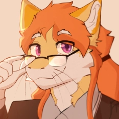 Meijer Background Image